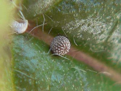20110810_Ei3