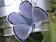 Alexis-Blaeuling_ms2_