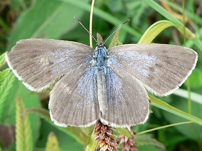 20110527_rebeli3