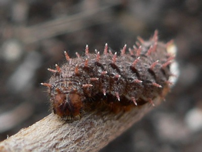 20120513_eunomia1