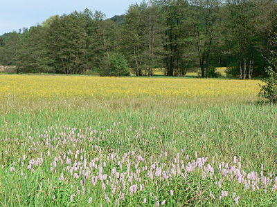 eunomia-habitat