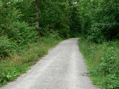 iris-habitat