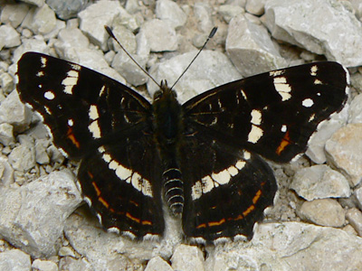 Landkaertchen30