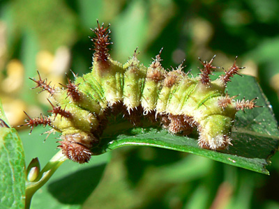 20120614_reducta2