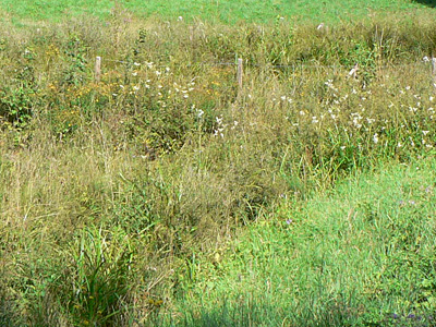 napi-habitat