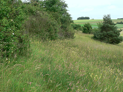 20130625_arcania1