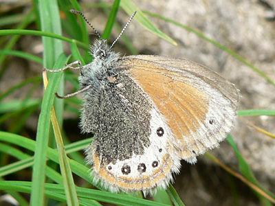 20110701_gardetta1