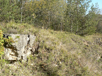 20111015_megera7