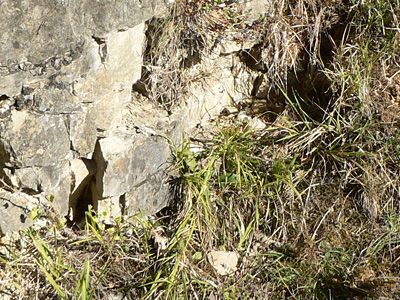 20111015_megera8