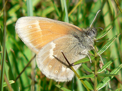 20110802_tullia3